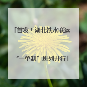 首发！湖北铁水联运“一单制”班列开行