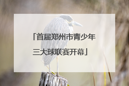 首届郑州市青少年三大球联赛开幕
