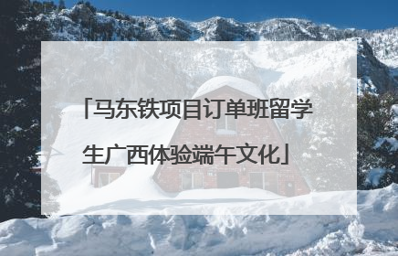 马东铁项目订单班留学生广西体验端午文化