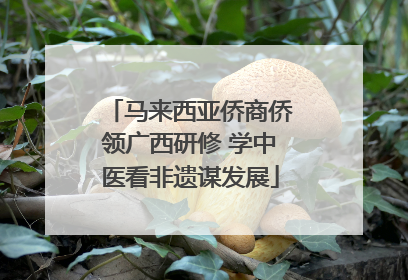 马来西亚侨商侨领广西研修 学中医看非遗谋发展