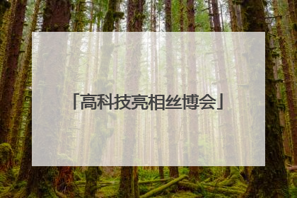 高科技亮相丝博会