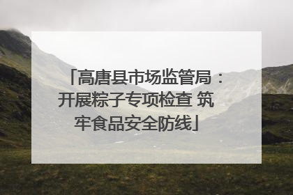 高唐县市场监管局：开展粽子专项检查 筑牢食品安全防线