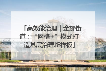 高效能治理｜金耀街道：“网格+”模式打造基层治理新样板