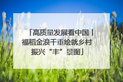 高质量发展看中国丨福稻金浪千重绘就乡村振兴“丰”景图