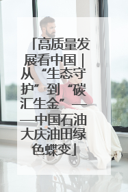 高质量发展看中国｜从“生态守护”到“碳汇生金”——中国石油大庆油田绿色蝶变