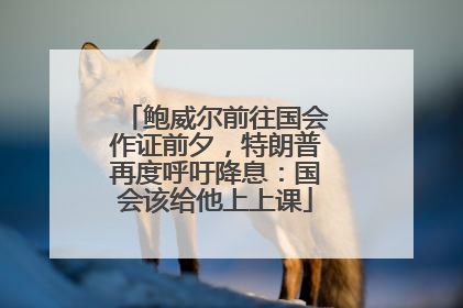 鲍威尔前往国会作证前夕，特朗普再度呼吁降息：国会该给他上上课