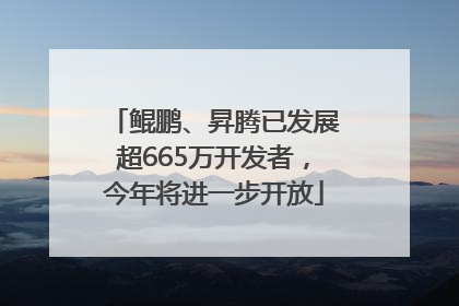 鲲鹏、昇腾已发展超665万开发者，今年将进一步开放