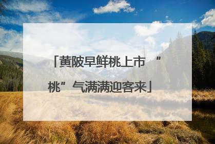 黄陂早鲜桃上市 “桃”气满满迎客来