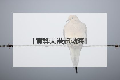 黄骅大港起渤海