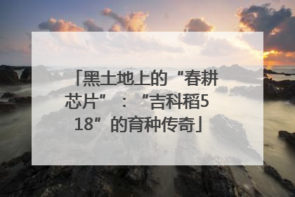 黑土地上的“春耕芯片”：“吉科稻518”的育种传奇