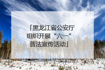 黑龙江省公安厅组织开展“六一”普法宣传活动