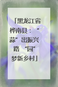 黑龙江省桦南县：“蒜”出振兴路 “园”梦新乡村