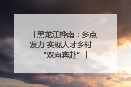 黑龙江桦南：多点发力 实现人才乡村“双向奔赴”