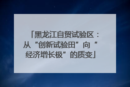 黑龙江自贸试验区：从“创新试验田”向“经济增长极”的质变