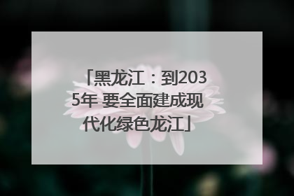 黑龙江：到2035年 要全面建成现代化绿色龙江