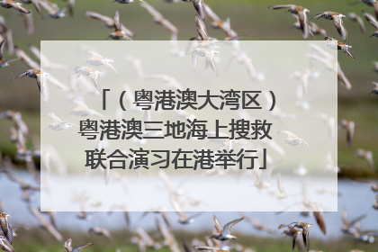 （粤港澳大湾区）粤港澳三地海上搜救联合演习在港举行
