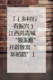 （乡村行·看振兴）江西共青城“领头雁”开辟致富“新稻路”