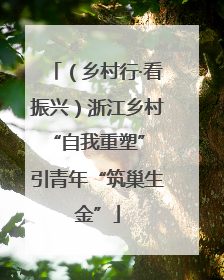 （乡村行·看振兴）浙江乡村“自我重塑” 引青年“筑巢生金”