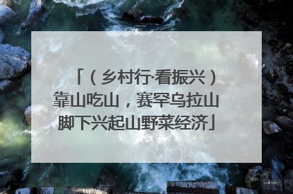 （乡村行·看振兴）靠山吃山，赛罕乌拉山脚下兴起山野菜经济