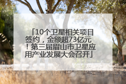 10个卫星相关项目签约，金额超73亿元！第三届眉山市卫星应用产业发展大会召开