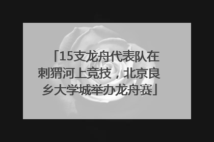 15支龙舟代表队在刺猬河上竞技，北京良乡大学城举办龙舟赛