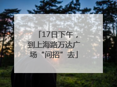 17日下午，到上海路万达广场“问招”去