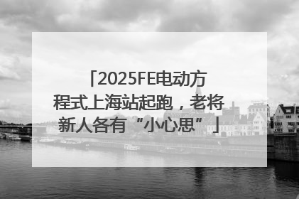 2025FE电动方程式上海站起跑，老将新人各有“小心思”