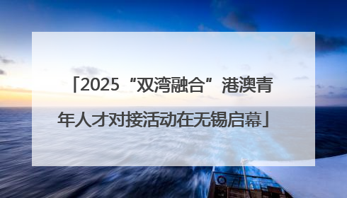 2025“双湾融合”港澳青年人才对接活动在无锡启幕