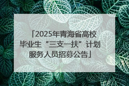 2025年青海省高校毕业生“三支一扶”计划服务人员招募公告