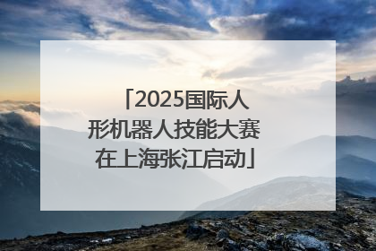 2025国际人形机器人技能大赛在上海张江启动