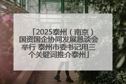 2025泰州（南京）国资国企协同发展恳谈会举行 泰州市委书记用三个关键词推介泰州