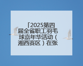 2025第四届全省职工羽毛球嘉年华活动（湘西赛区）在张家界开幕