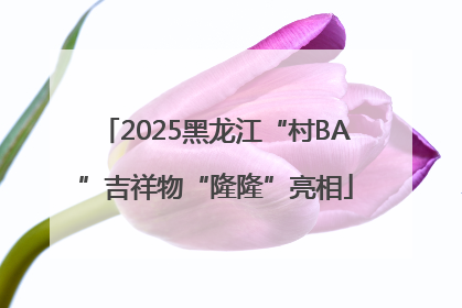 2025黑龙江“村BA”吉祥物“隆隆”亮相