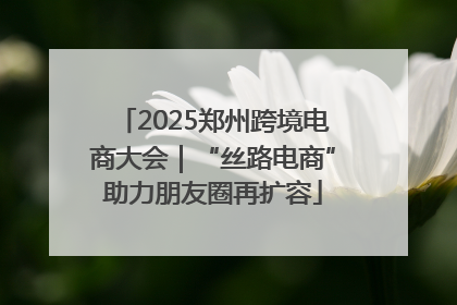 2025郑州跨境电商大会｜“丝路电商”助力朋友圈再扩容