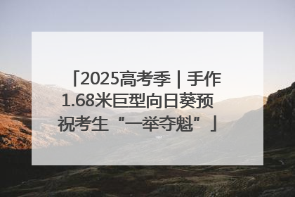 2025高考季｜手作1.68米巨型向日葵预祝考生“一举夺魁”