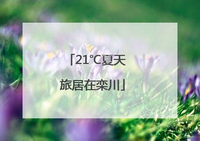 21℃夏天 旅居在栾川