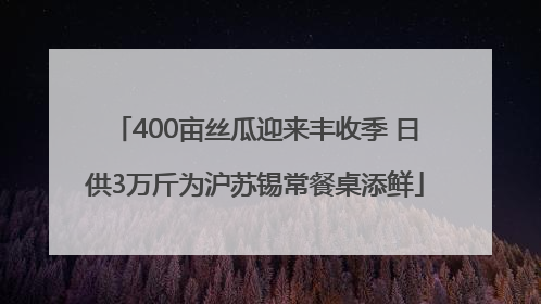 400亩丝瓜迎来丰收季 日供3万斤为沪苏锡常餐桌添鲜