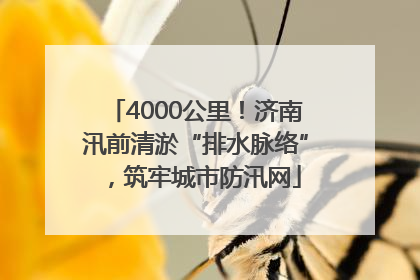 4000公里！济南汛前清淤“排水脉络”，筑牢城市防汛网