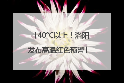 40°C以上！洛阳发布高温红色预警