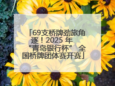 69支桥牌劲旅角逐！2025 年 “青岛银行杯” 全国桥牌团体赛开赛