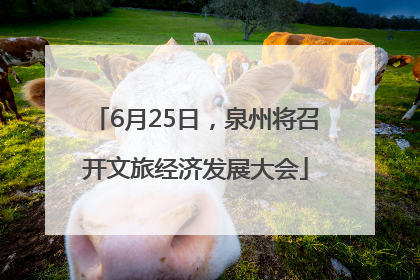 6月25日，泉州将召开文旅经济发展大会