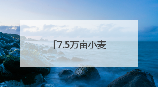 7.5万亩小麦喜开夏收第一镰