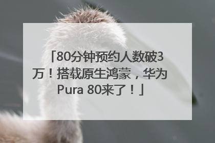 80分钟预约人数破3万！搭载原生鸿蒙，华为Pura 80来了！