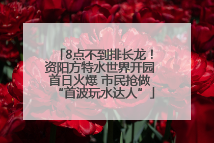 8点不到排长龙！资阳方特水世界开园首日火爆 市民抢做“首波玩水达人”