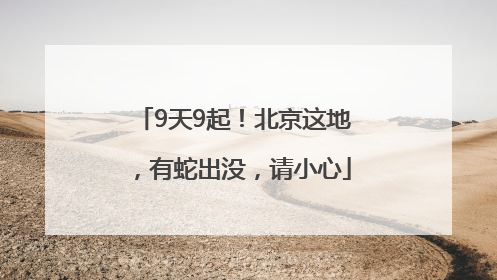 9天9起！北京这地，有蛇出没，请小心