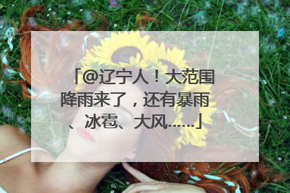 @辽宁人！大范围降雨来了，还有暴雨、冰雹、大风……