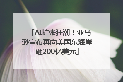AI扩张狂潮！亚马逊宣布再向美国东海岸砸200亿美元