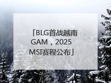 BLG首战越南GAM，2025MSI赛程公布
