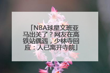 NBA球星文班亚马出关了？网友在高铁站偶遇，少林寺回应：人已离开寺院